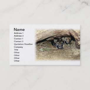 Carte De Visite Loup de bois sauvage cubes jumeaux à Den
