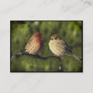 Carte De Visite Lovebirds ATC