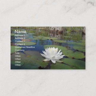 Carte De Visite Lys d'eau 2
