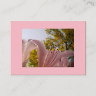 Carte De Visite Lys rose en soie de qualité supérieure