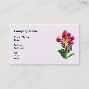 Carte De Visite Lys Stargazer vu de dessus