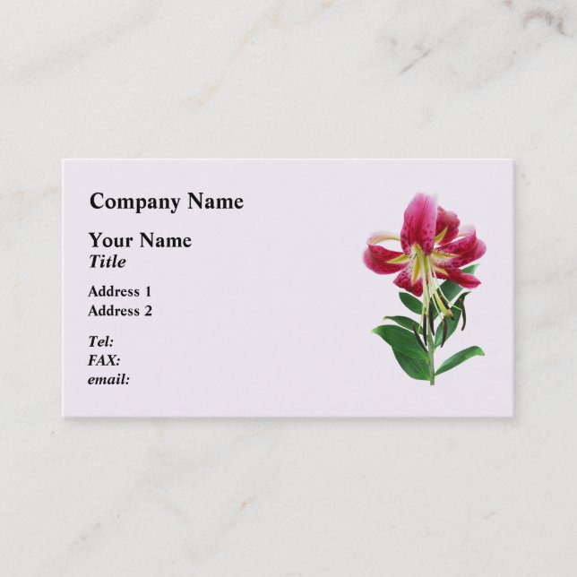 Carte De Visite Lys Stargazer vu de dessus (Devant)