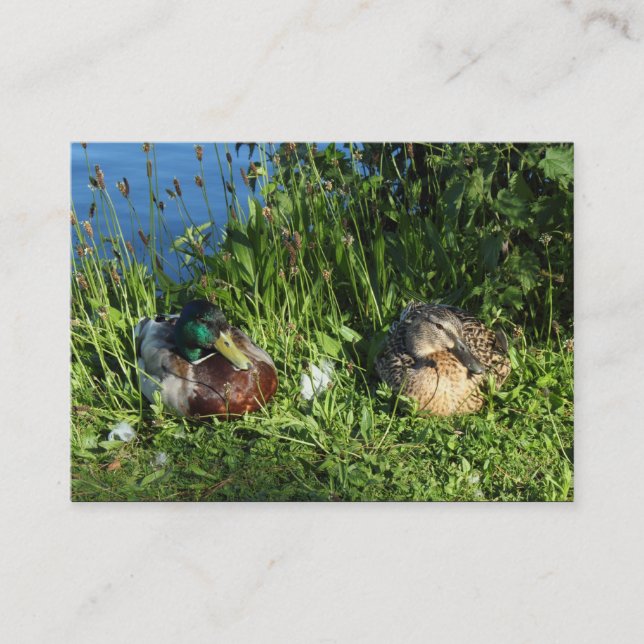 Carte De Visite M. et Mme Mallard (Devant)