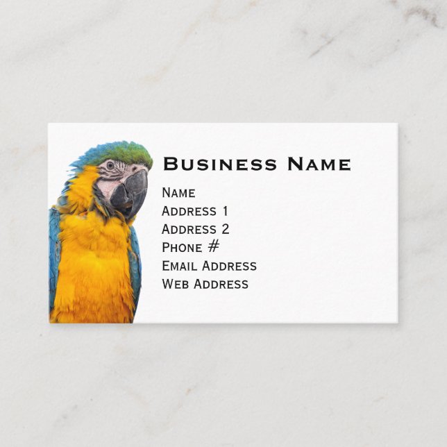 Carte De Visite Macaw bleu et or (Devant)