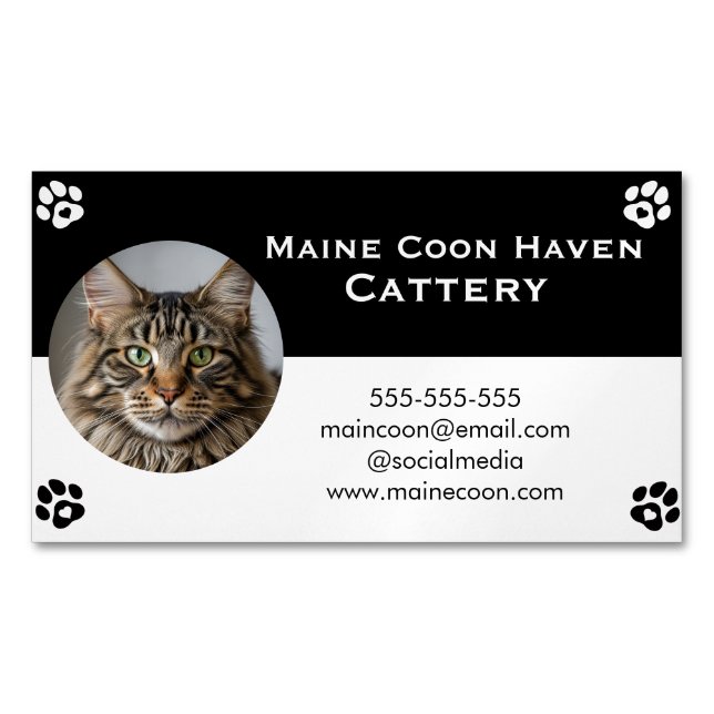 Carte De Visite Magnétique Black and White Maine Coon Customizable  (devant)