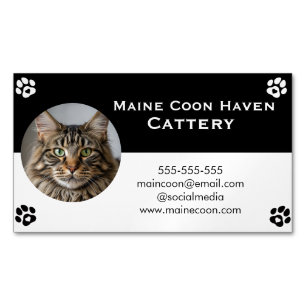 Carte De Visite Magnétique Black and White Maine Coon Personnalisable