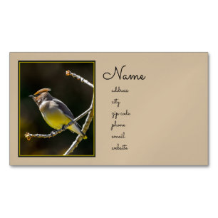 Carte De Visite Magnétique Cèdre cire Songbird Photo originale Oiseau sauvage