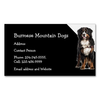 Carte De Visite Magnétique Chiens de montagne birmans éleveurs Animaux domest
