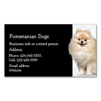 Carte De Visite Magnétique Chiens de Poméranie éleveur Animaux de compagnie