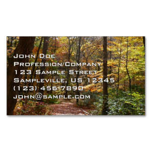 Carte De Visite Magnétique Chute Sunlit dans le parc national de Laurel Hill