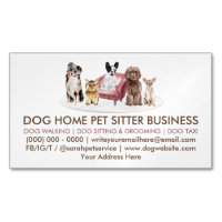 Comportementaliste Chien Blanc Hôtel pour Animaux 