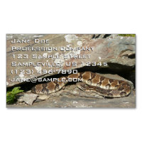 Crotale dans le parc national de Shenandoah