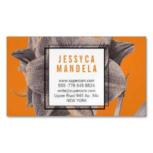 Carte De Visite Magnétique Fleur d'Amaryllis Moderne Orange