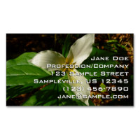 Fleur sauvage de printemps blanc Trillium Flower