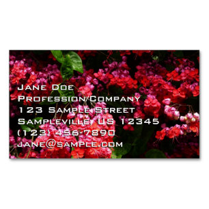 Carte De Visite Magnétique Fleurs de Pagode Colorées Rouge et Rose