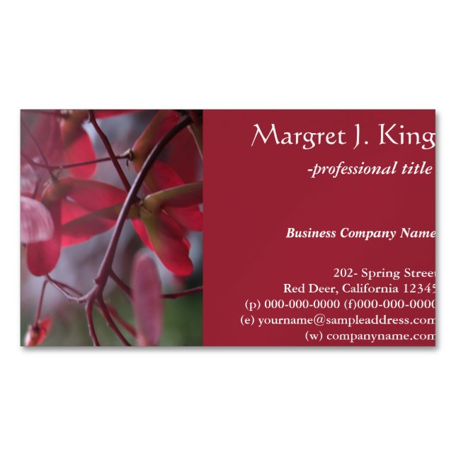 Carte De Visite Magnétique Graines d'érable rouge samara fruits professionnel (devant)