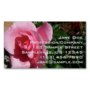 Carte De Visite Magnétique Jardin floral de rose rose et bourgeon
