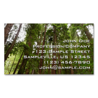 Carte De Visite Magnétique Jusqu'aux séquoias I à Muir Woods National Monumen