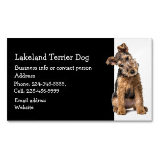 Carte De Visite Magnétique Lakeland Terrier Dresseur de chiens Sitter d'anima