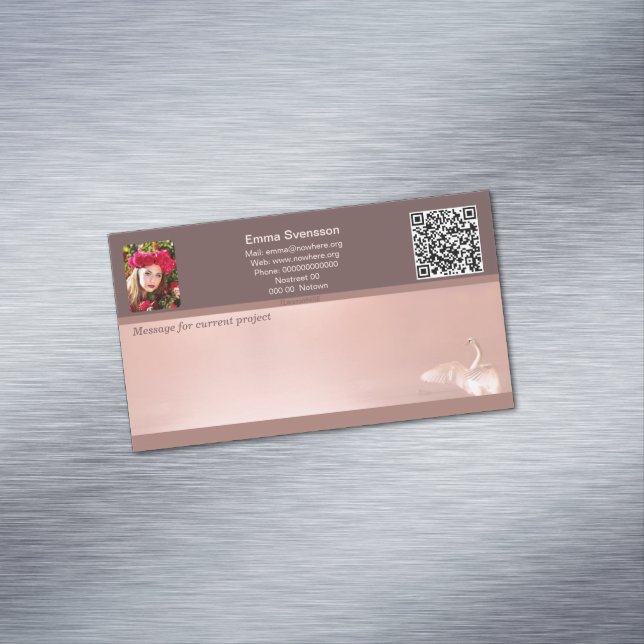 Carte De Visite Magnétique Magnetiska visitkort — Connect, Swan (In Situ)