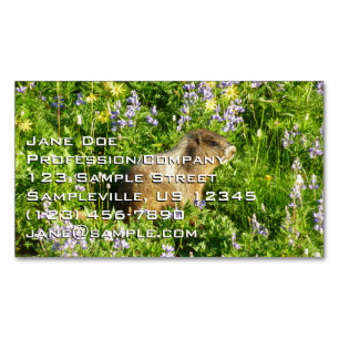 Carte De Visite Magnétique Marmotte dans les fleurs sauvages du mont Rainier
