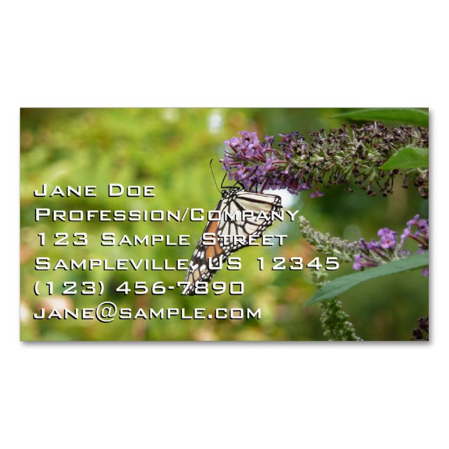 Carte De Visite Magnétique Monarque papillon sur Buddleia pourpre (devant)