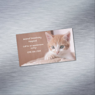 Carte De Visite Magnétique Orange Kitten Pet Care