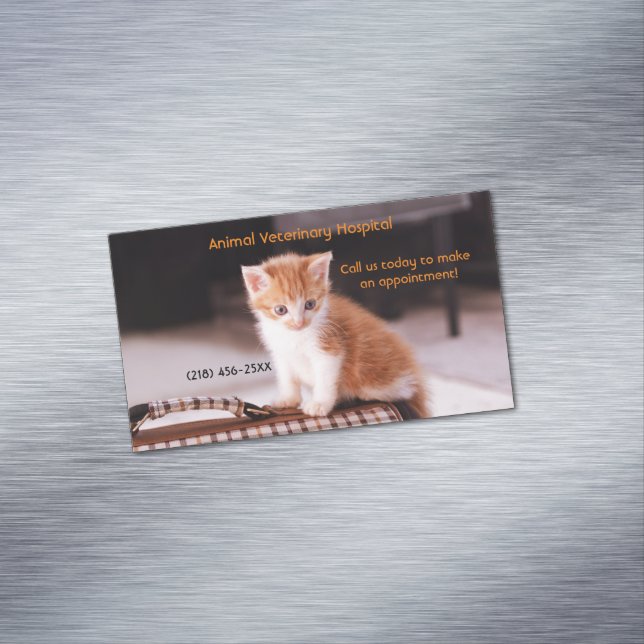 Carte De Visite Magnétique Orange Kitten Services de soins pour animaux de co (In Situ)
