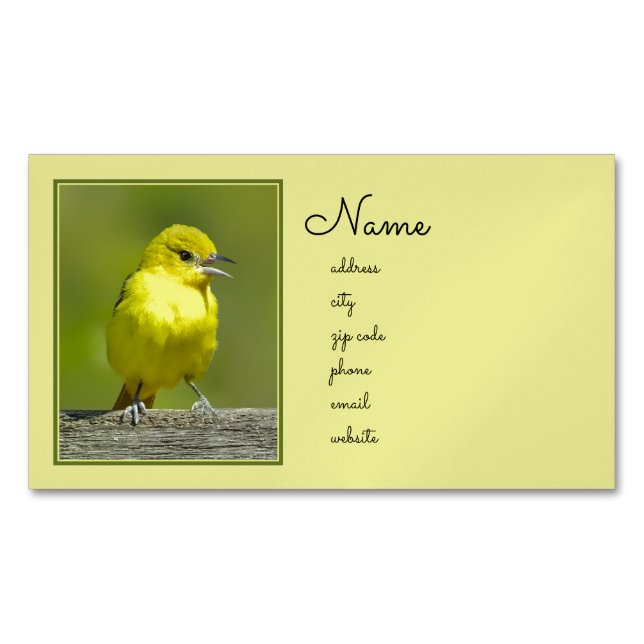 Carte De Visite Magnétique Orchard Oriole - Photo originale (devant)