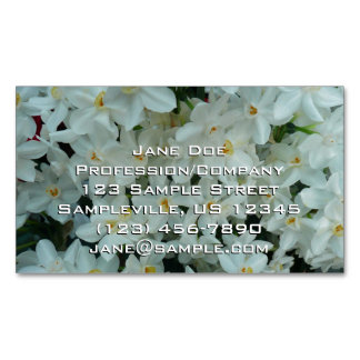 Carte De Visite Magnétique Paperwhite Narcissus Fleurs blanches délicates