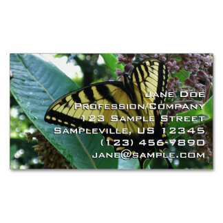 Carte De Visite Magnétique Papillon Swallowtail I sur Milkweed à Shenandoah