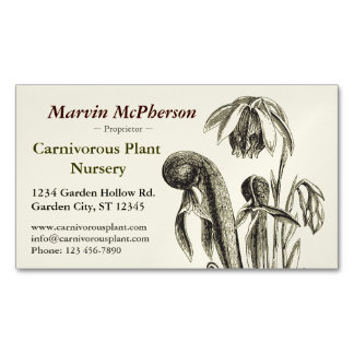 Carte De Visite Magnétique Pépinière de plante carnivore