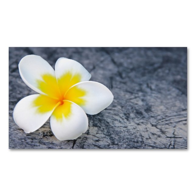 Carte De Visite Magnétique plumeria (devant)