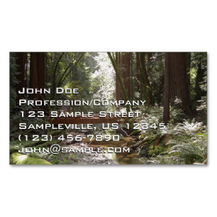 Carte De Visite Magnétique Pont de Muir Woods II