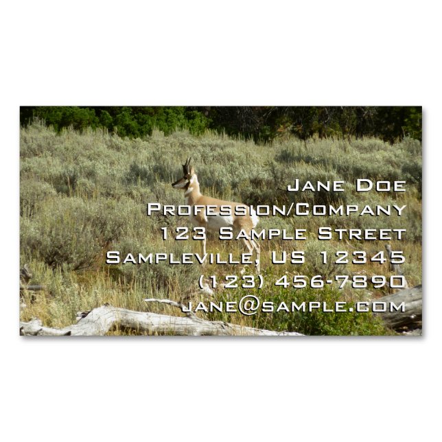 Carte De Visite Magnétique Pronghorn au Parc national de Grand Teton (devant)