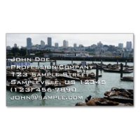 San Francisco et Pier 39 Sea Lions City Skyline