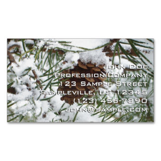 Carte De Visite Magnétique Snowy Pine Cone I