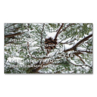 Snowy Pine Cône II hiver Photographie de la nature