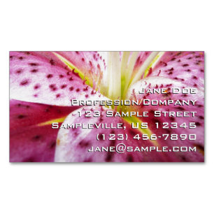 Carte De Visite Magnétique Stargazer Lily brillant Magenta Floral