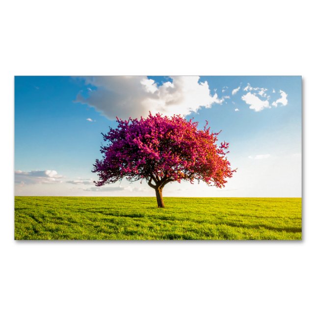 Carte De Visite Magnétique tree (devant)