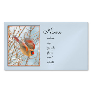 Carte De Visite Magnétique Vol Cardinal Nord - Photo originale