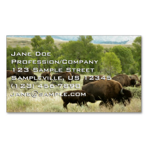 Carte De Visite Magnétique Wyoming Bison Nature Animal Photographie