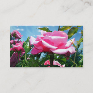 Carte De Visite Magnifiques fleurs de rose rose dans un profil de 