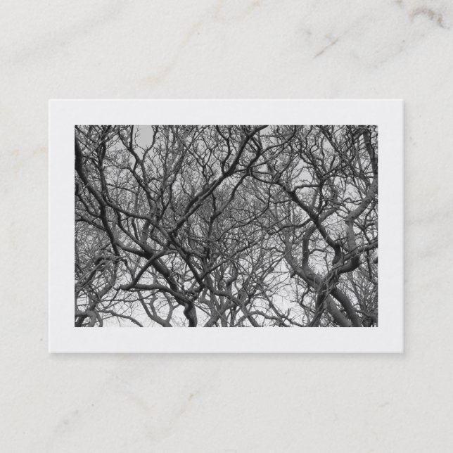 Carte De Visite Magnolia Tree Branches B&W (Bordé) (Devant)