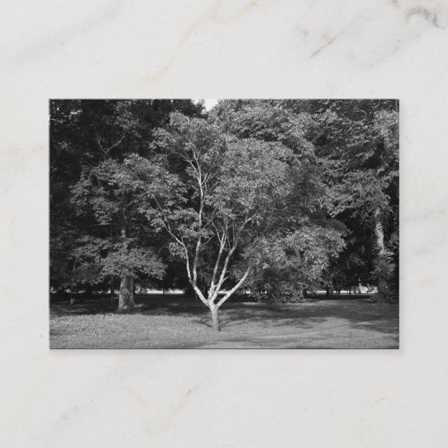 Carte De Visite Magnolia Tree BW (Devant)