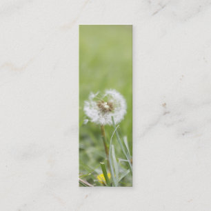 Carte de visite maigre d'optimisme