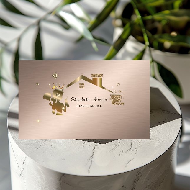 Carte De Visite Maison de nettoyage professionnelle (Créateur téléchargé)