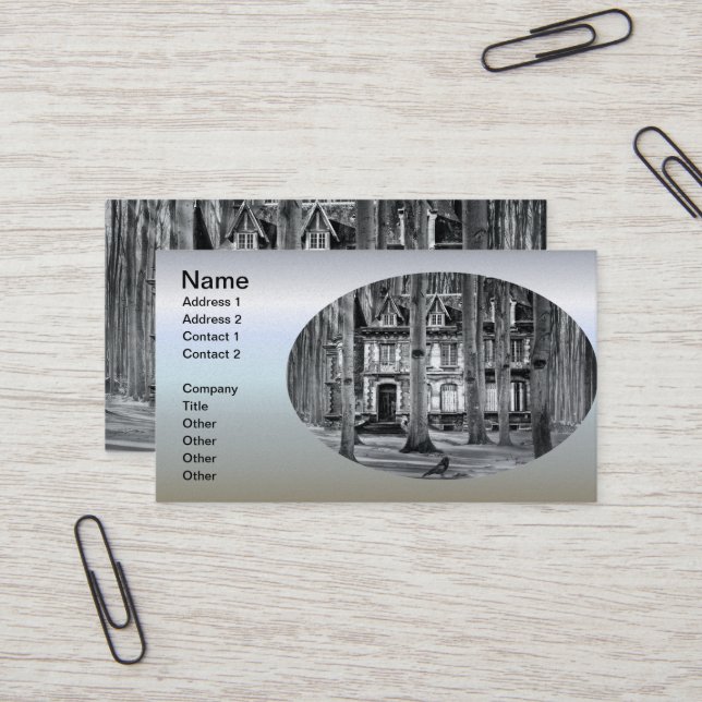 Carte De Visite Maison hantée couverte de neige (Devant/Arrière en situation)