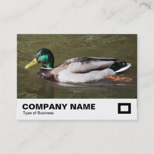 Carte De Visite Mallard Duck