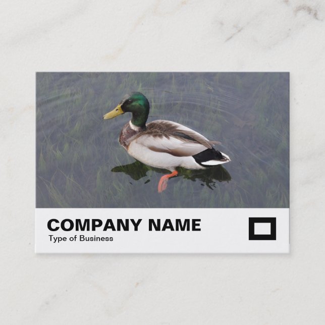 Carte De Visite Mallard Duck (Devant)